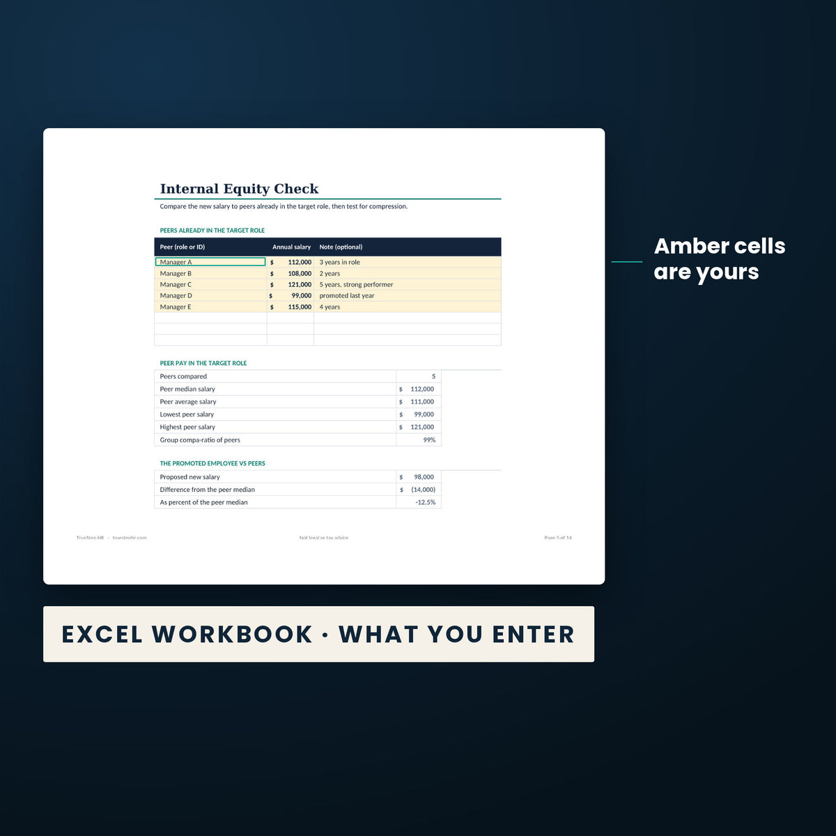 Promotion and Internal Equity Calculator — the Excel workbook with the amber cells you fill in marked; the white cells calculate.