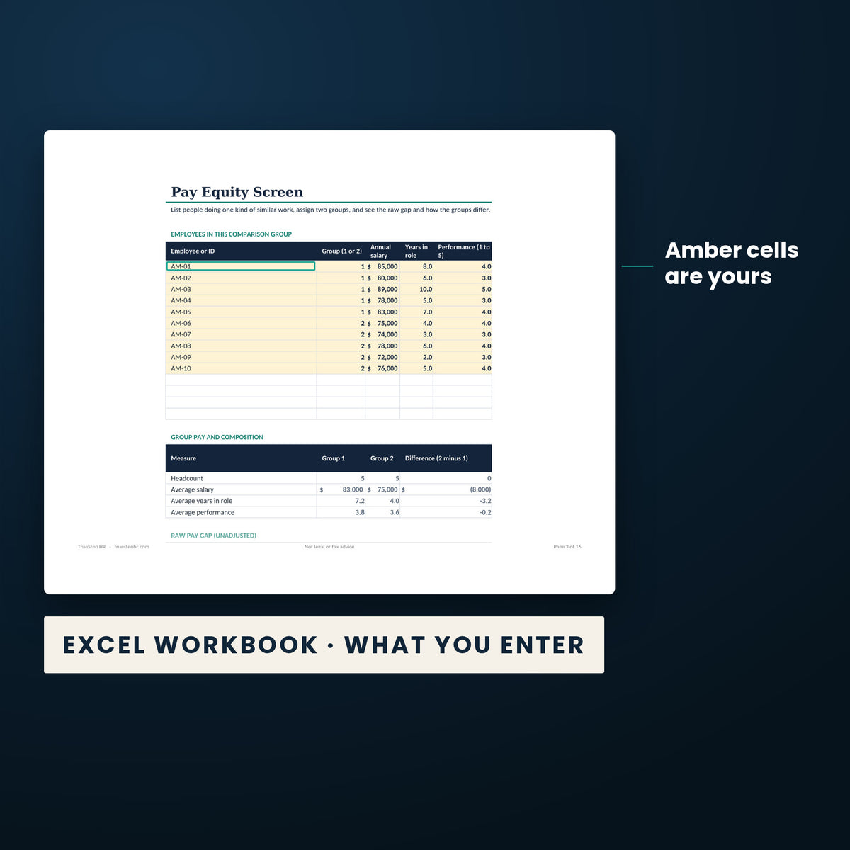Pay Structure and Internal Equity Review — the Excel workbook with the amber cells you fill in marked; the white cells calculate.