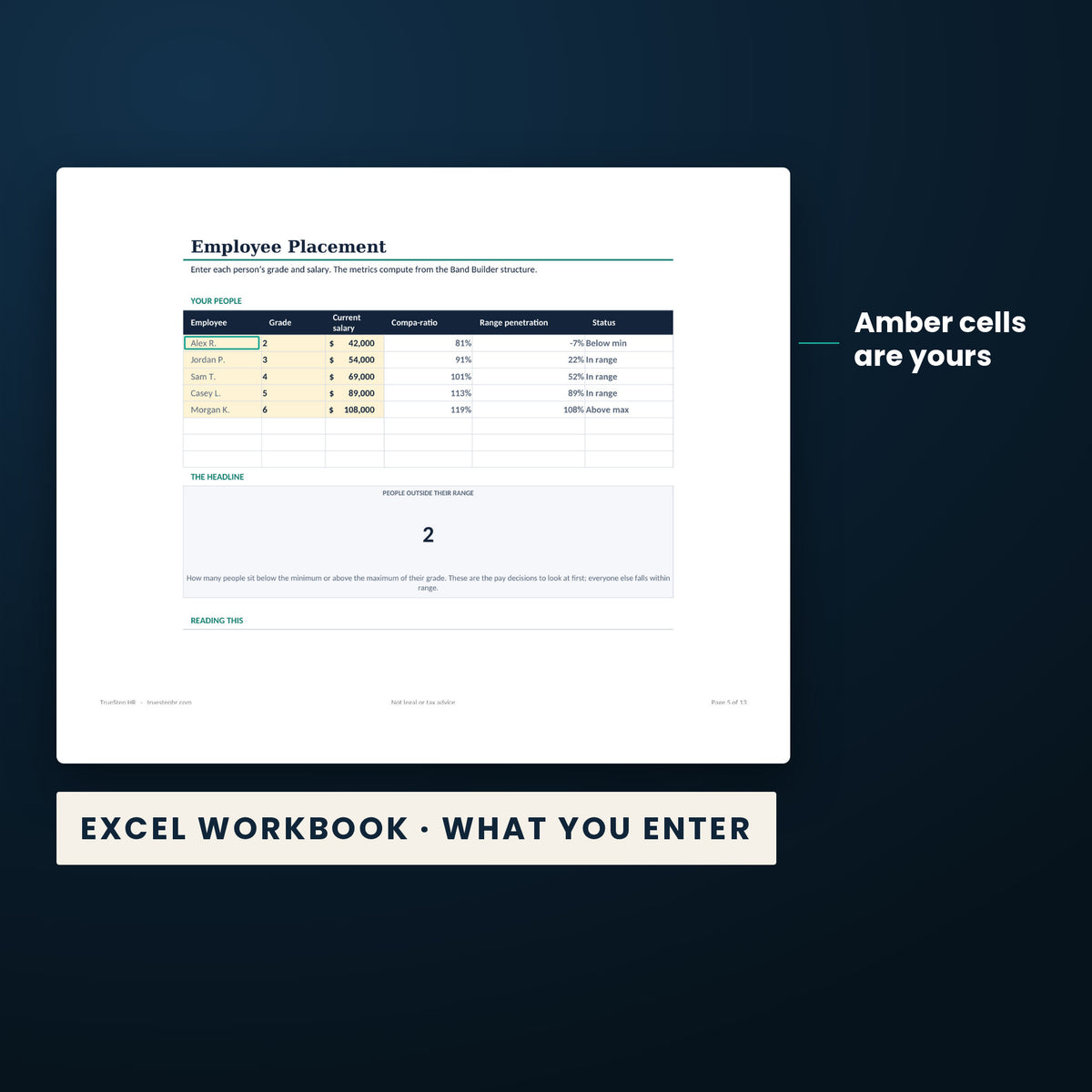 Compensation Toolkit — the Excel workbook with the amber cells you fill in marked; the white cells calculate.