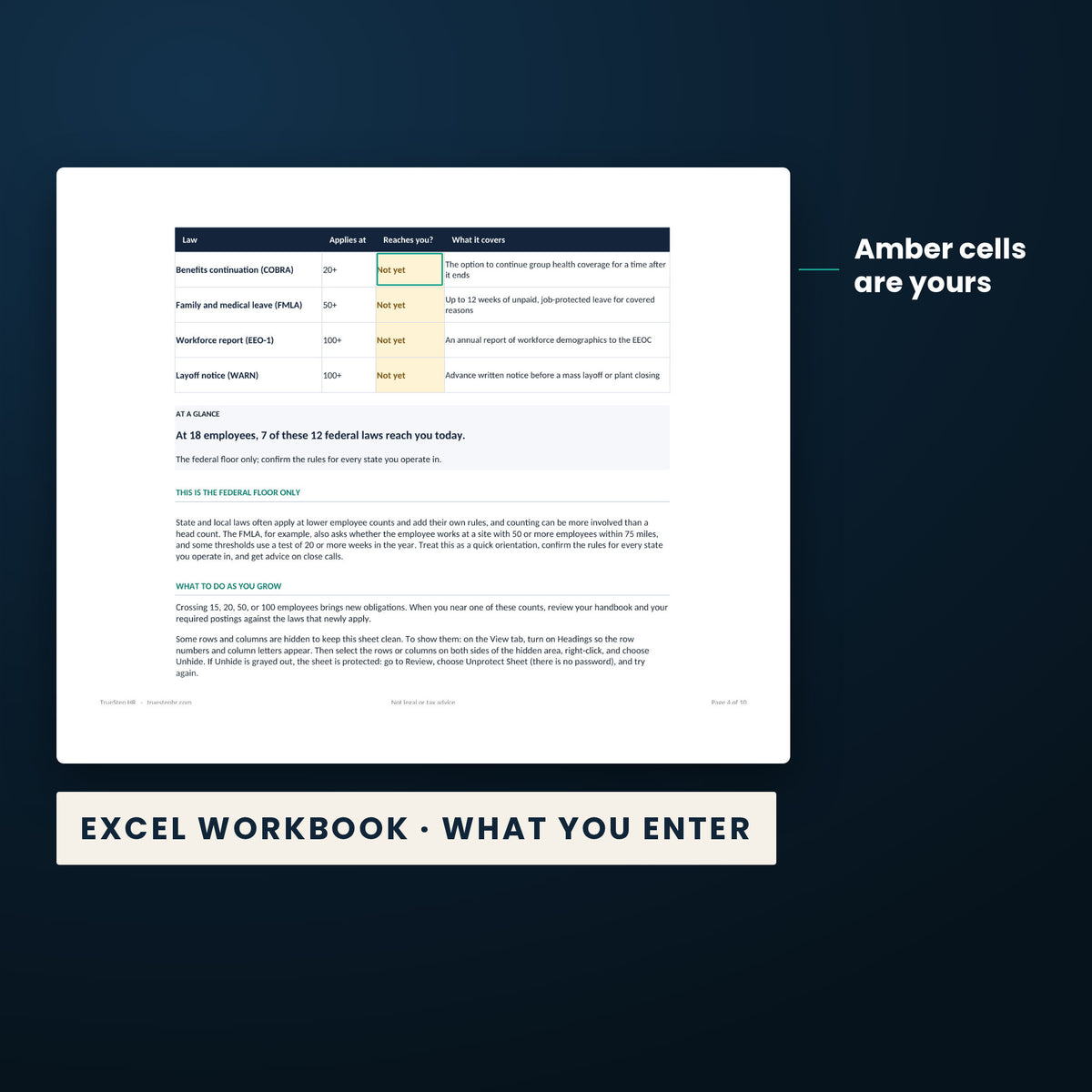 HR Policy Starter Pack — the Excel workbook with the amber cells you fill in marked; the white cells calculate.