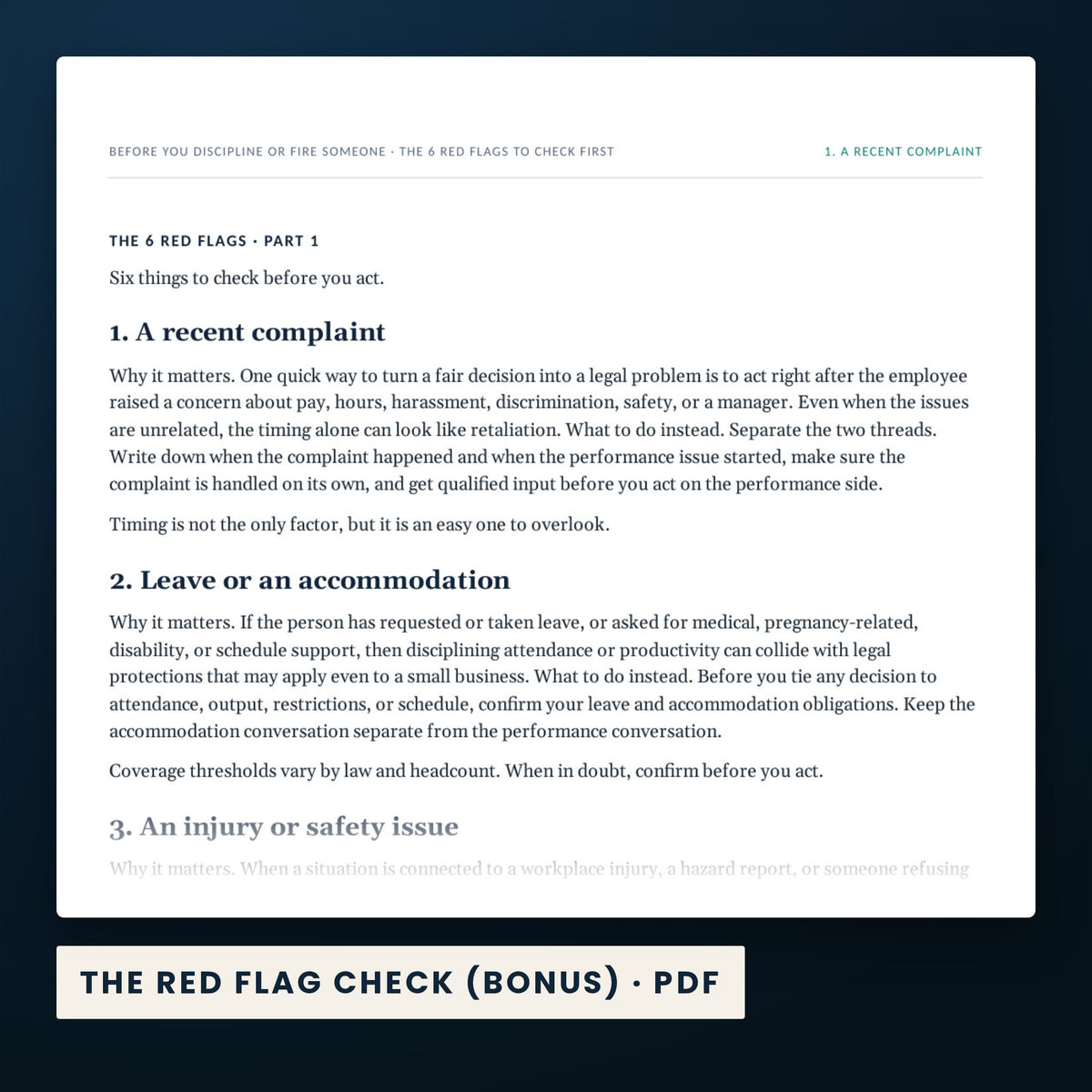 Discipline and Termination Decision Kit — a page from The Red Flag Check (Bonus), one of the files in this download.