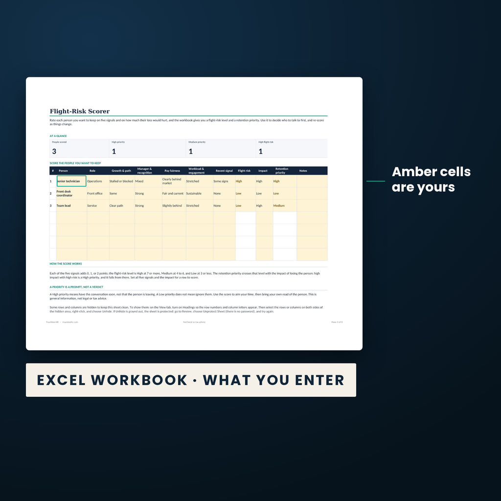 Retention and Stay Interview Action Kit — the Excel workbook with the amber cells you fill in marked; the white cells calculate.