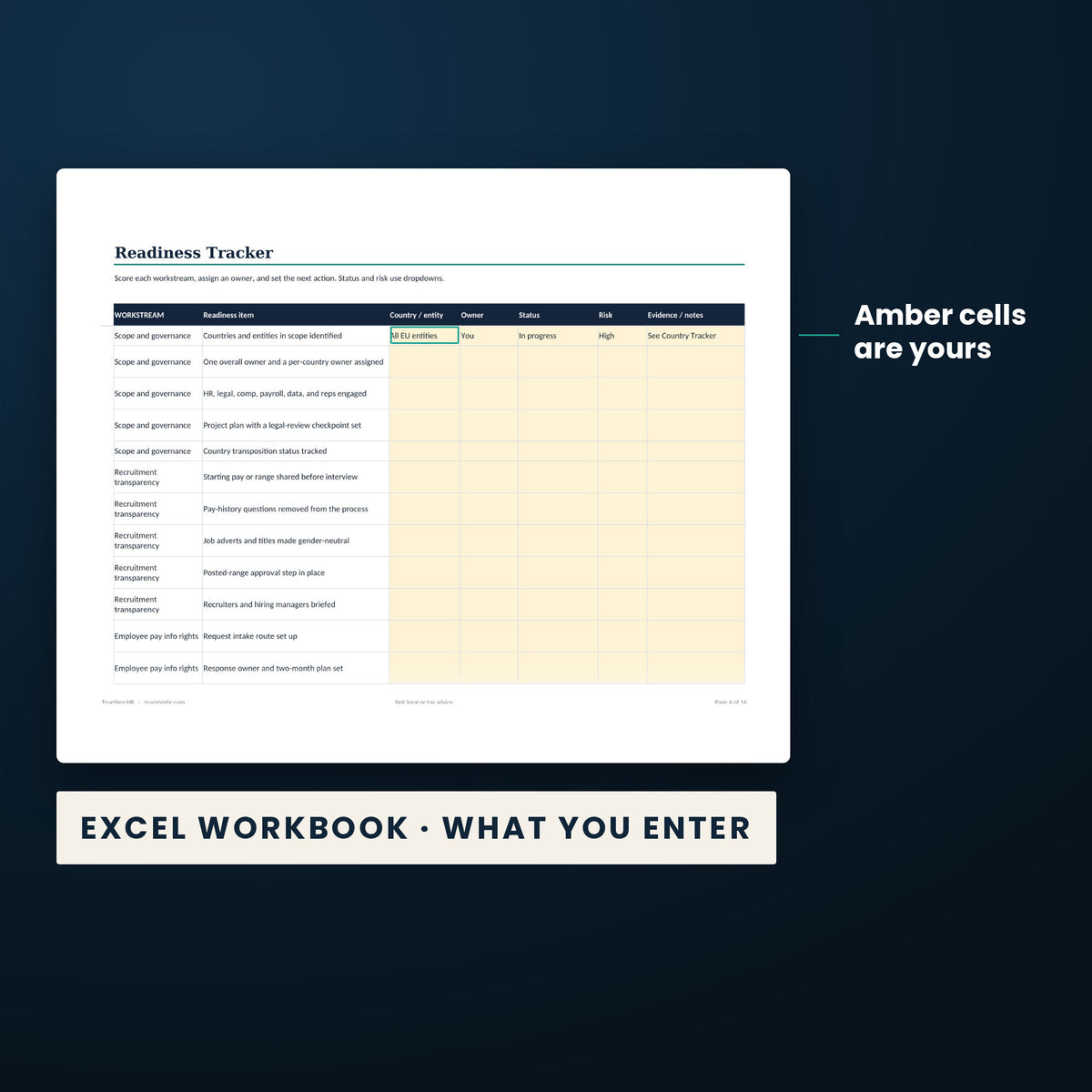 Global Employer EU Readiness Bundle — the Excel workbook with the amber cells you fill in marked; the white cells calculate.