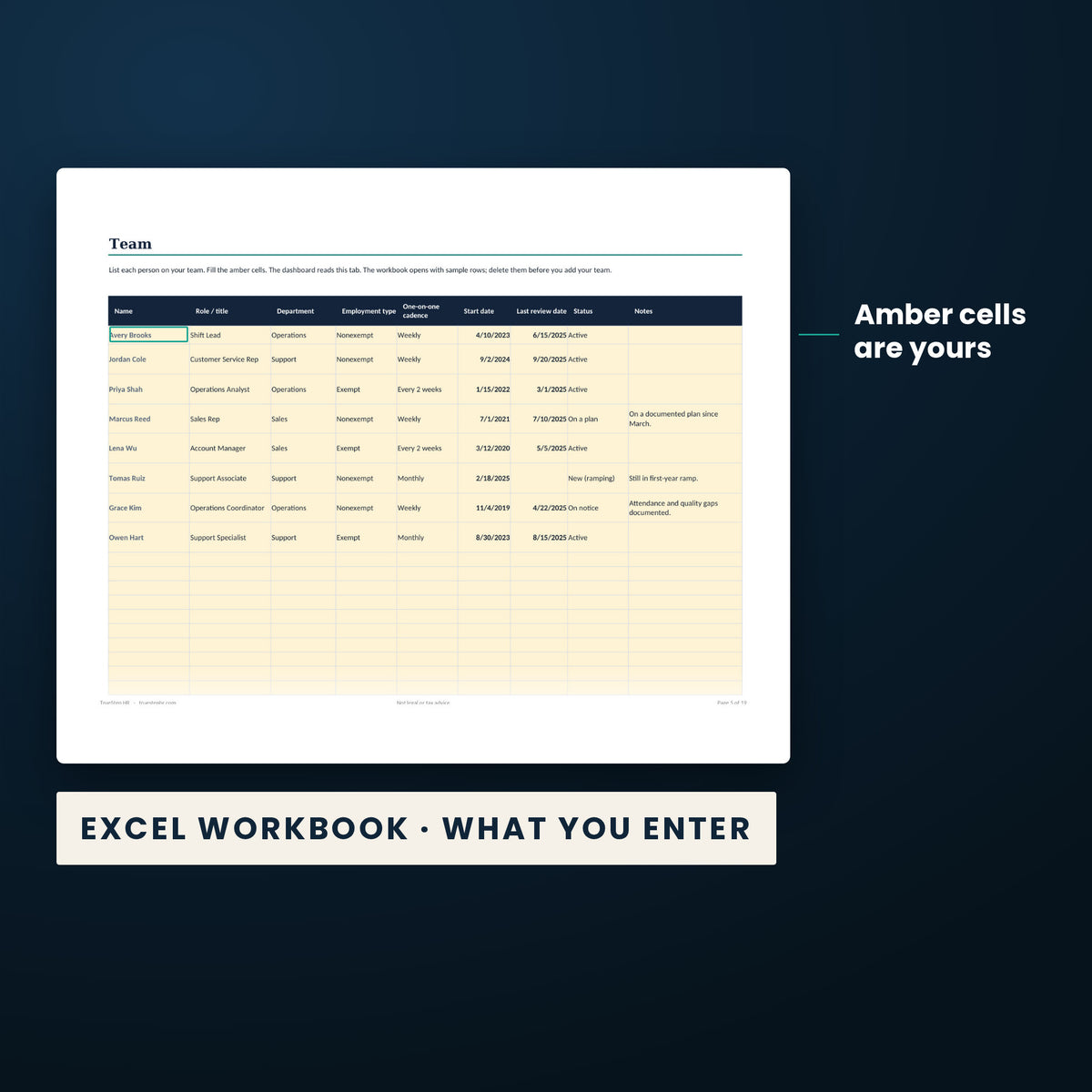 Complete TrueStep HR System — the Excel workbook with the amber cells you fill in marked; the white cells calculate.