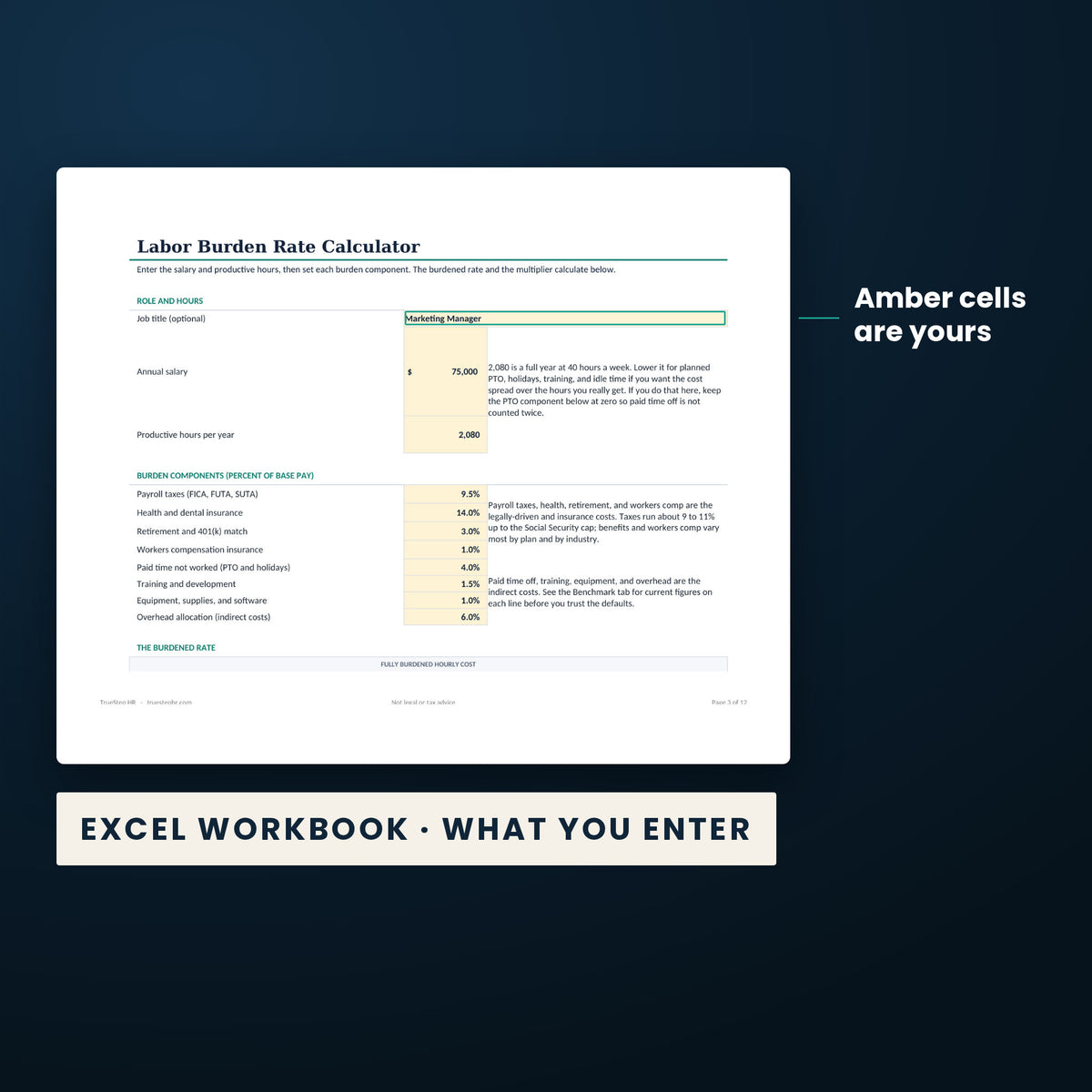 Workforce Cost Control Bundle — the Excel workbook with the amber cells you fill in marked; the white cells calculate.
