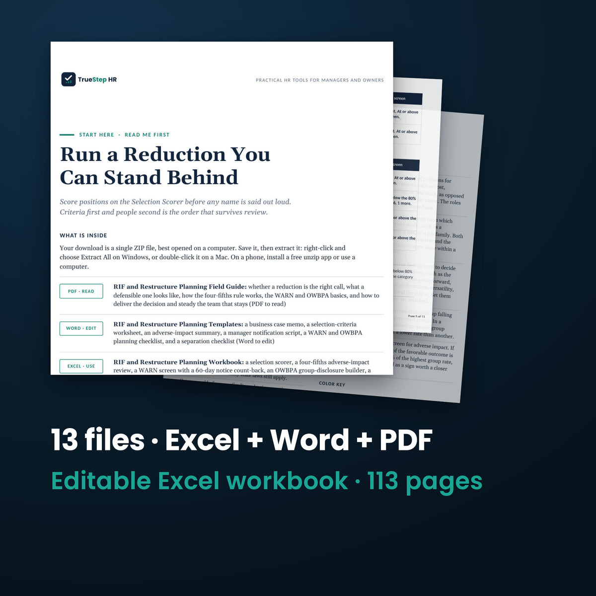 RIF Complete System — the 13 files in this download shown as a stack of real pages: Excel + Word + PDF, 113 pages in all.