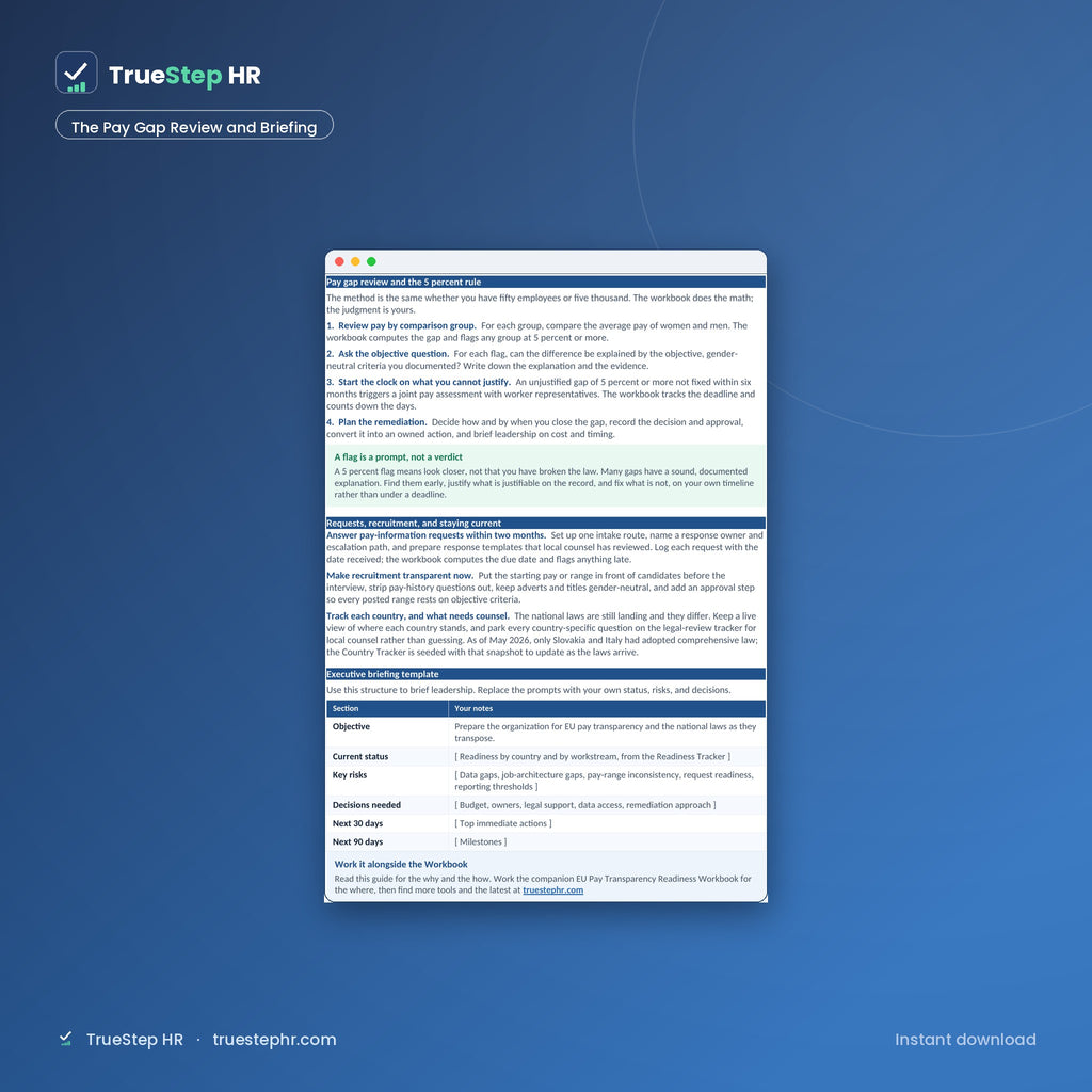 EU Pay Transparency Readiness Toolkit pay gap review and briefing