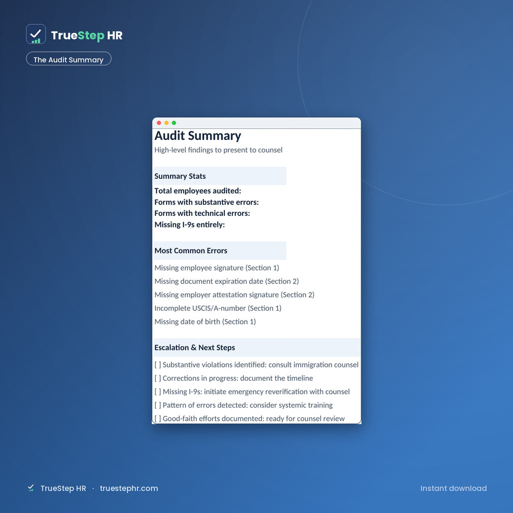 The Audit Summary
