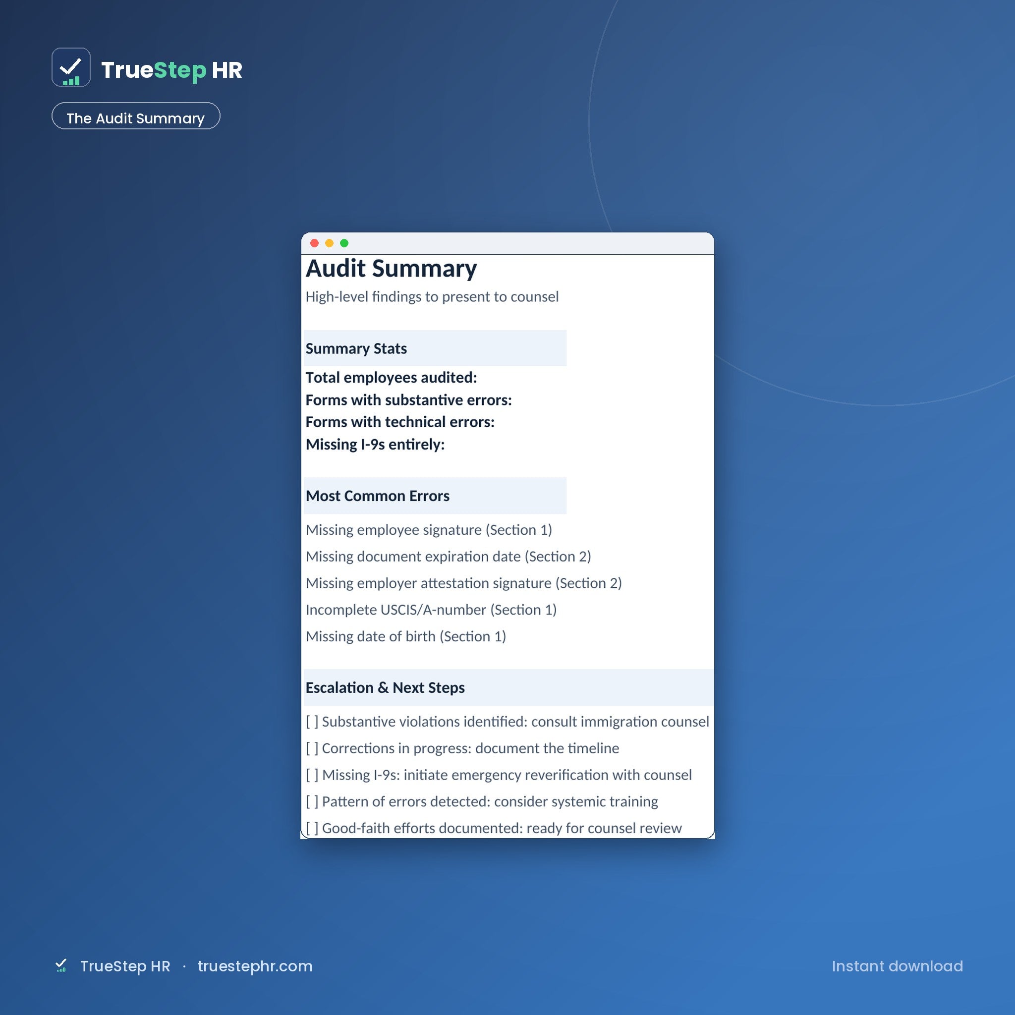 The Audit Summary
