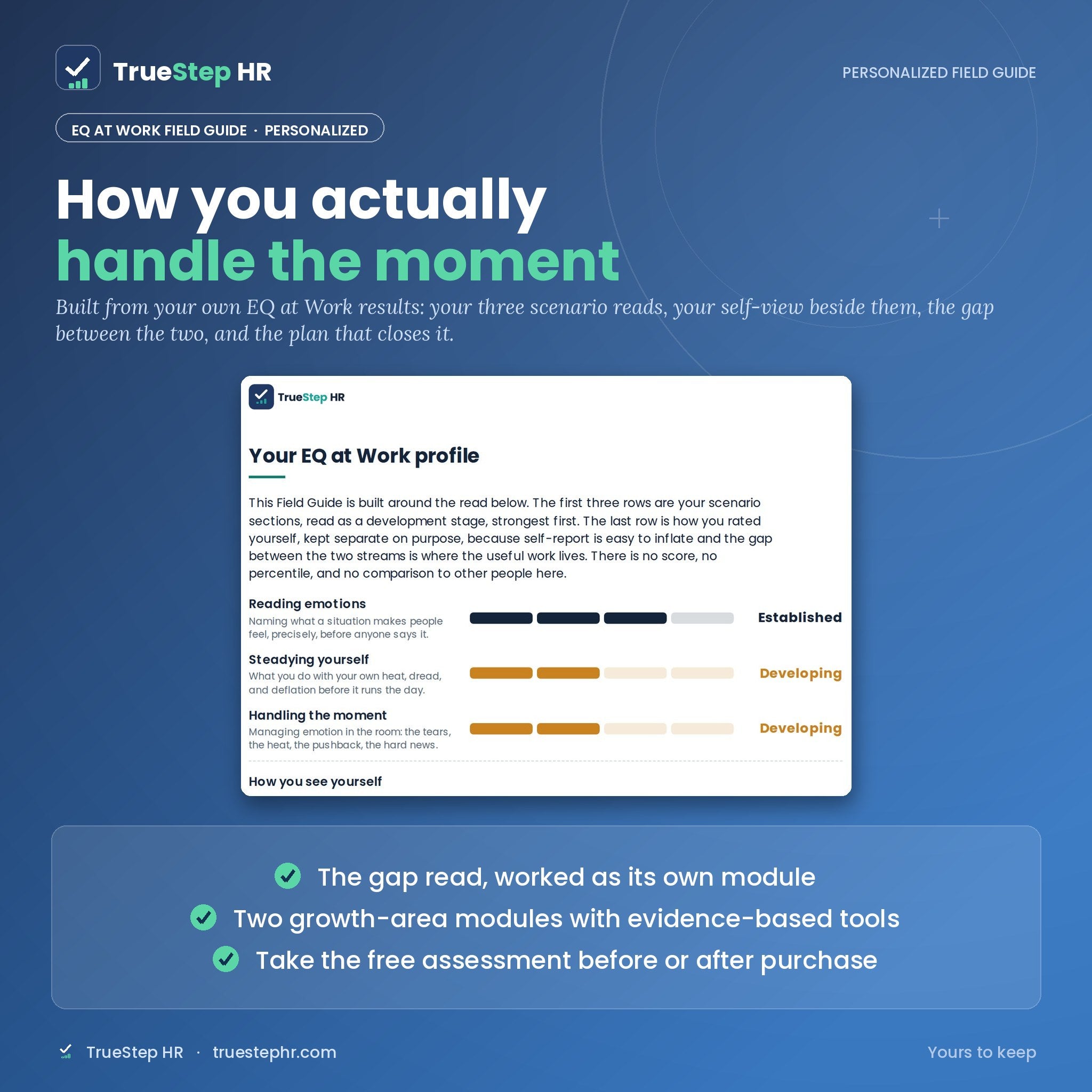 EQ at Work Field Guide (Personalized Edition)